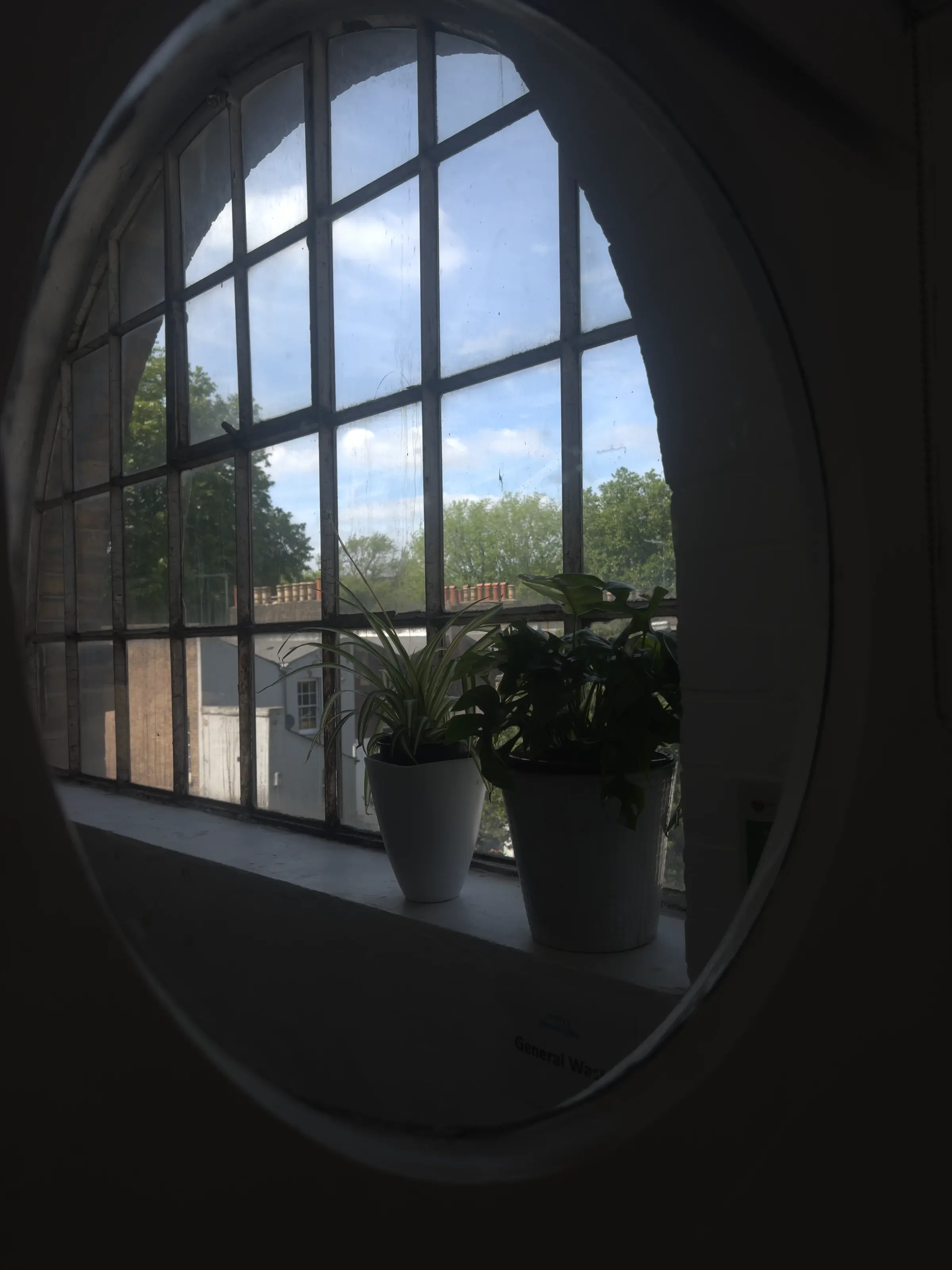 The warehouse windows of Studio 49 from inside the room